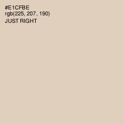 #E1CFBE - Just Right Color Image